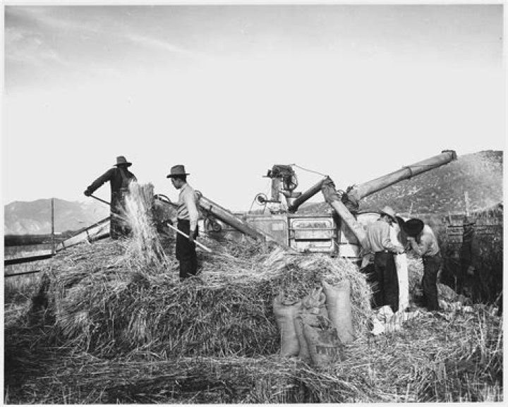American Farm Company: Leading the Agricultural Revolution in the United States