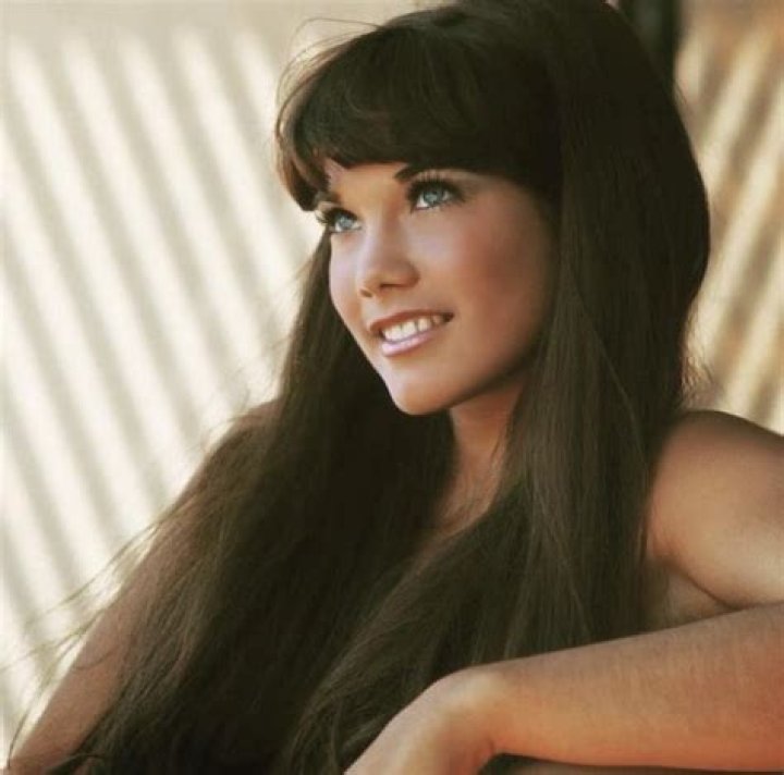 Barbi Benton: A Timeless Icon in the World of Modeling and Entertainment