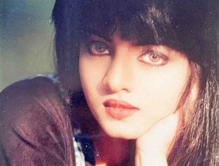 Celina Jaitley: The Multifaceted Star of Bollywood