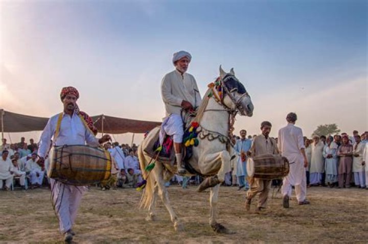 Discovering the Vibrant Culture of My Desi.in