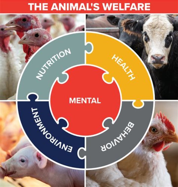 Dr. Jeff Thompson: A Lifelong Dedication to Animal Welfare