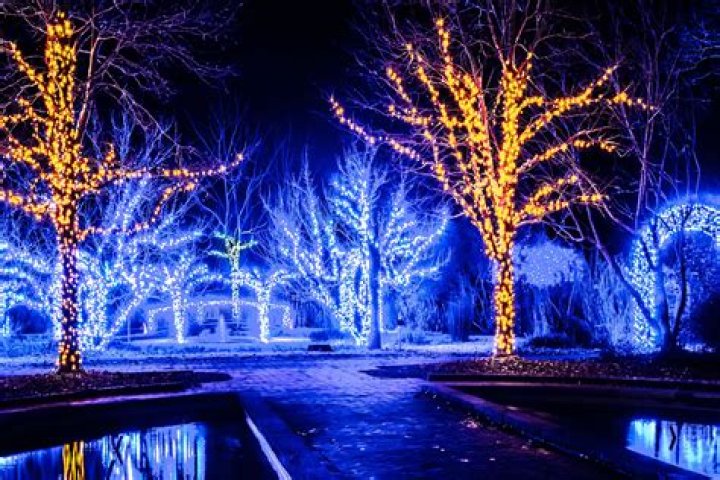 Experience the Magic: Christmas Lights Dallas Drive-Thru