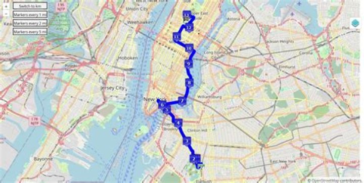 Experience the Thrill of the United Half Marathon 2025