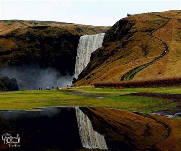 Exploring the Wonders of Intaflora: A Journey into Nature's Beauty