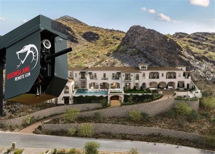 Impressive Sublethal Remote Gun: Technology and Impact