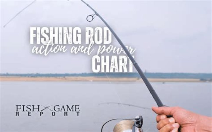 Michigan Sportsman Forums: A Comprehensive Guide to the Ultimate Hunting and Fishing Community
