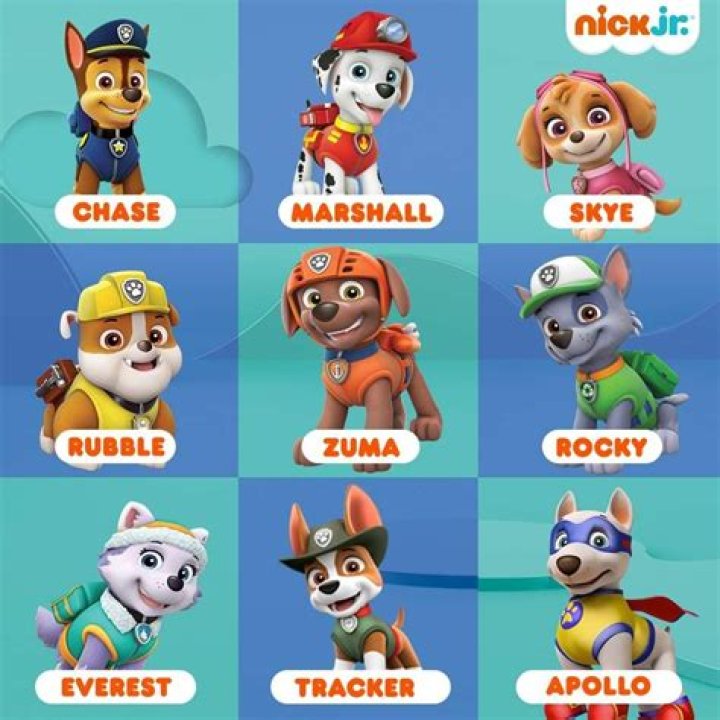 Name All Paw Patrol Pups: A Comprehensive Guide for Fans