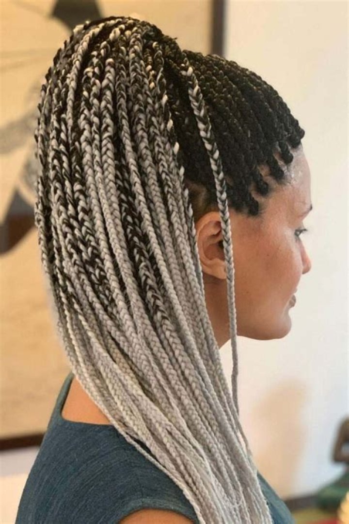 Silver Box Braids: The Ultimate Guide to This Stunning Hairstyle
