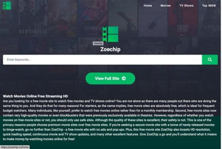 The Enigmatic World of Zoe Chip: A Deep Dive