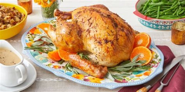 Understanding Why Turkeys Can't Fly: A Comprehensive Guide