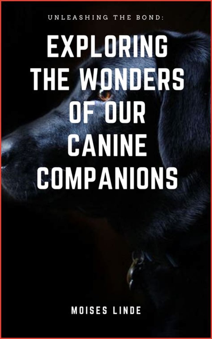Unleashing the Wonders of Dogxxxx: A Canine Adventure