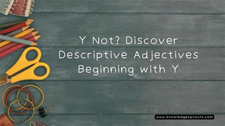 Unlocking the Power of Y Video Open: Your Ultimate Guide to the Trending Platform