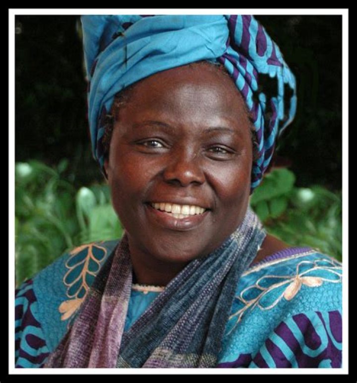 Unveiling the Life and Achievements of Donna Hester