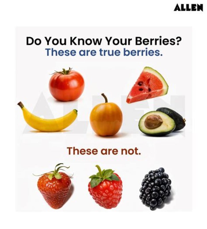 Unveiling the Truth: How is a Banana Botanically Classified as a Berry?