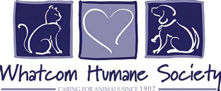Whatcom Humane Society: A Beacon of Compassion for Animals